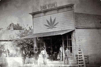 West Virginia cannabis history